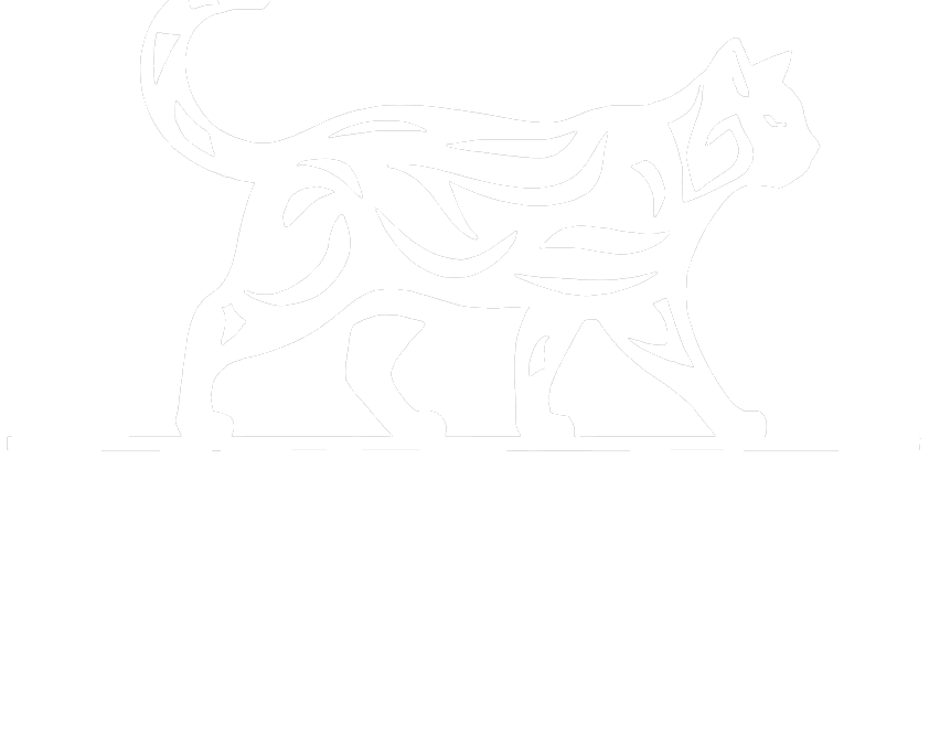 Experiencias Vacacionales